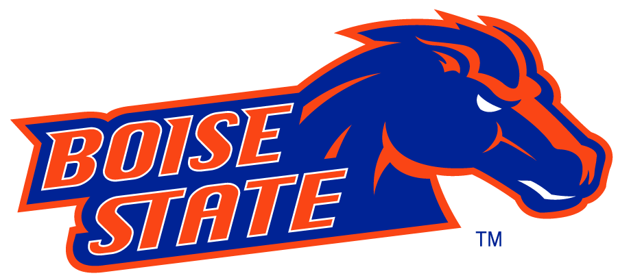 Boise State Broncos 2002-2012 Secondary Logo v9 iron on transfers for T-shirts